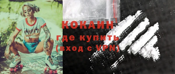 твердый Осташков