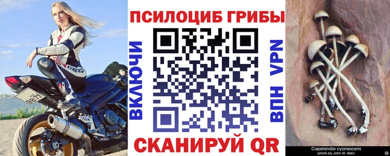 Галлюциногенные грибы прущие грибы  Грязи 