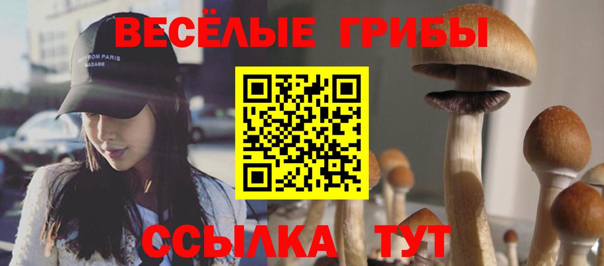 Галлюциногенные грибы мицелий  закладки  Грязи 